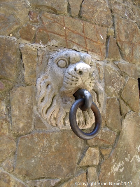 Lion chain ring bolt Brad Nixon 102 (480x640)